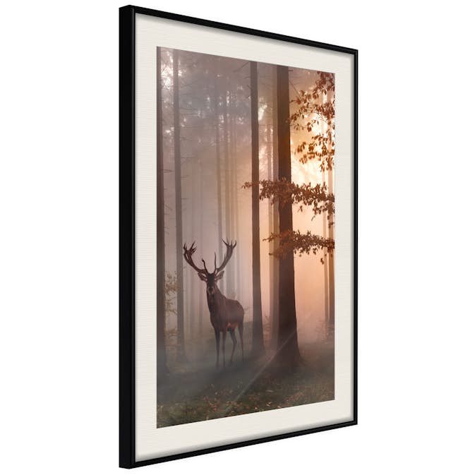 Poster Artgeist Affisch Morning