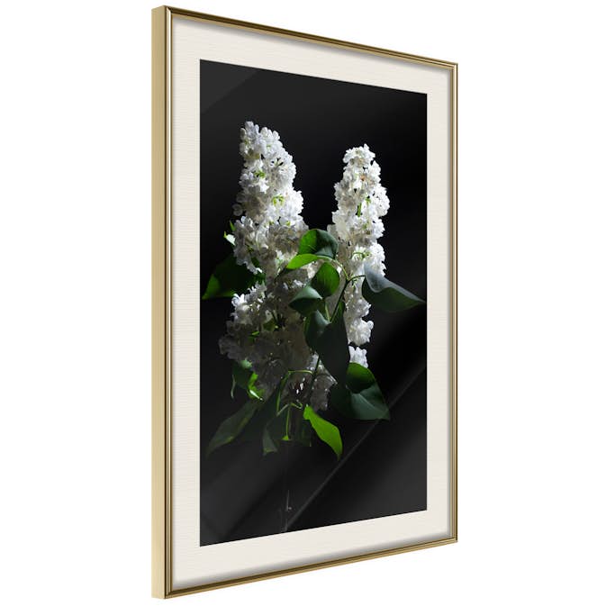 Poster Artgeist Affisch Lilacs at Night