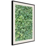 Poster Artgeist Affisch Thick Ivy