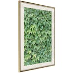 Poster Artgeist Affisch Thick Ivy