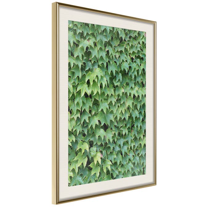 Poster Artgeist Affisch Thick Ivy
