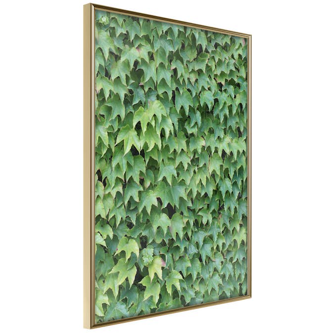 Poster Artgeist Affisch Thick Ivy