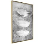 Poster Artgeist Affisch Fleeting Mystery