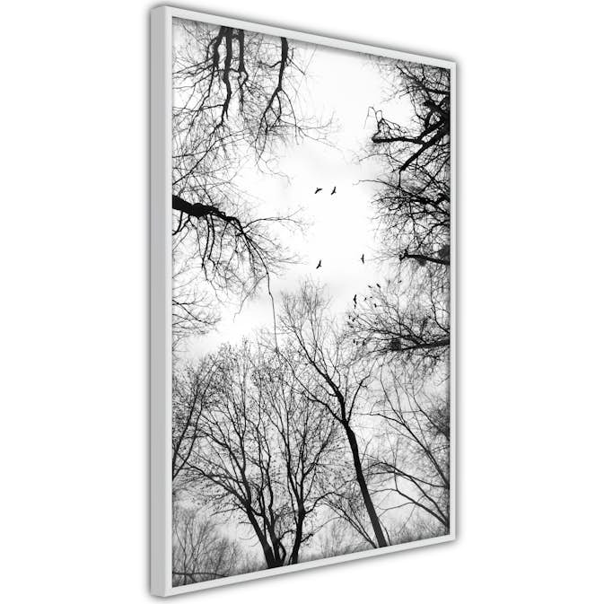 Poster Artgeist Affisch Winter Flight