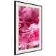 Poster Artgeist Affisch Beautiful Peonies