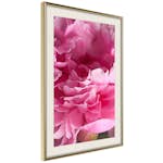 Poster Artgeist Affisch Beautiful Peonies
