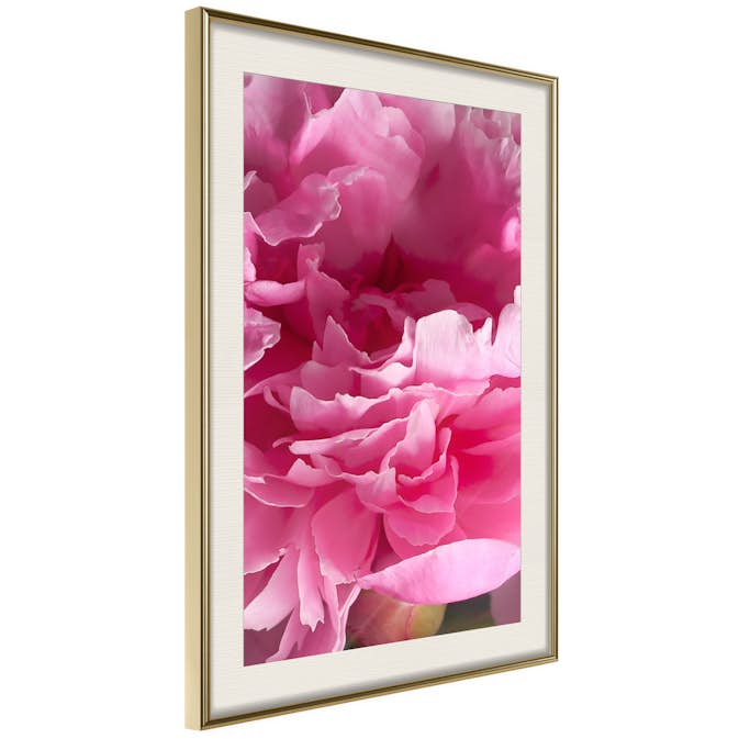 Poster Artgeist Affisch Beautiful Peonies