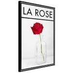 Poster Artgeist Affisch La Rose