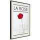 Poster Artgeist Affisch La Rose