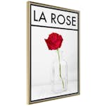 Poster Artgeist Affisch La Rose