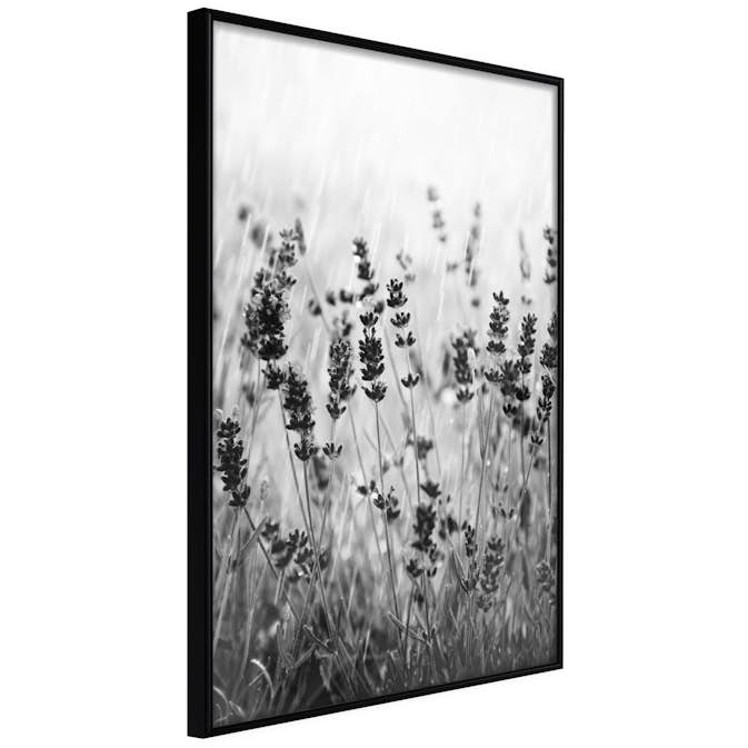 Poster Artgeist Affisch Lavender in the Rain