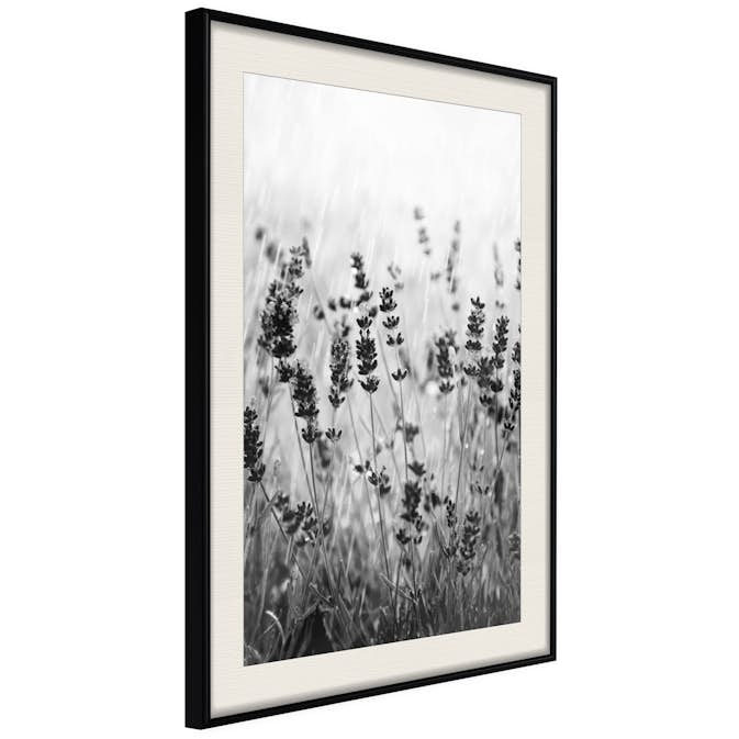 Poster Artgeist Affisch Lavender in the Rain