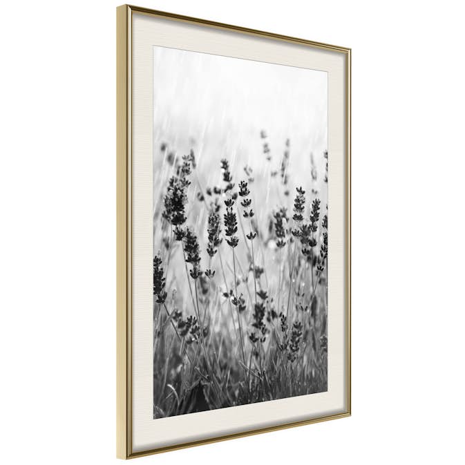 Poster Artgeist Affisch Lavender in the Rain