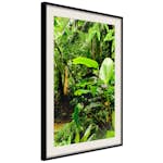 Poster Artgeist Affisch Lungs of the Earth