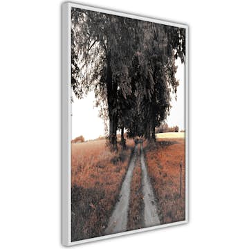 Poster Artgeist Affisch Road to the Forest