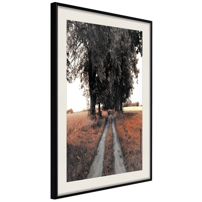 Poster Artgeist Affisch Road to the Forest