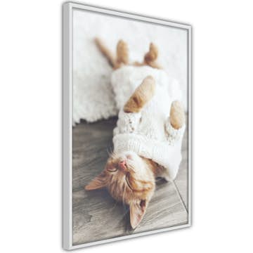 Poster Artgeist Affisch Lazy Cat