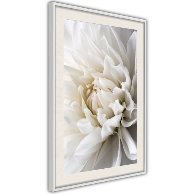 Poster Artgeist Affisch White Dahlia