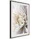 Poster Artgeist Affisch White Dahlia