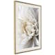 Poster Artgeist Affisch White Dahlia