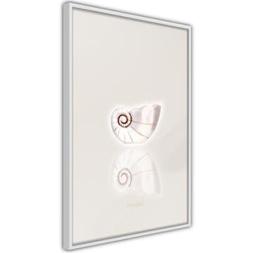 Poster Artgeist Affisch Ceramic Shell