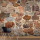 Fototapet Arkiio Stony Artistry