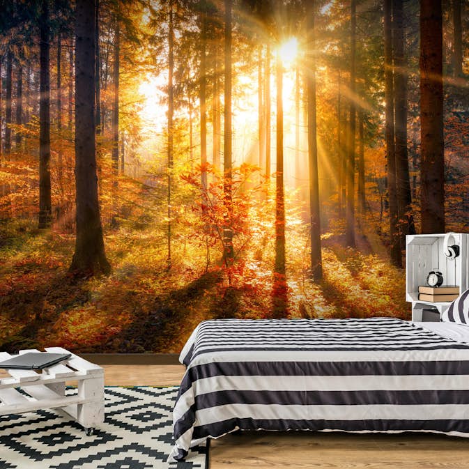 Fototapet Arkiio Självhäftande Autumn Awakening