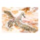 Fototapet Arkiio Pegasus Orange