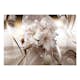 Fototapet Arkiio Lily Bunch