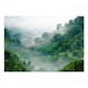 Fototapet Arkiio Morning Fog