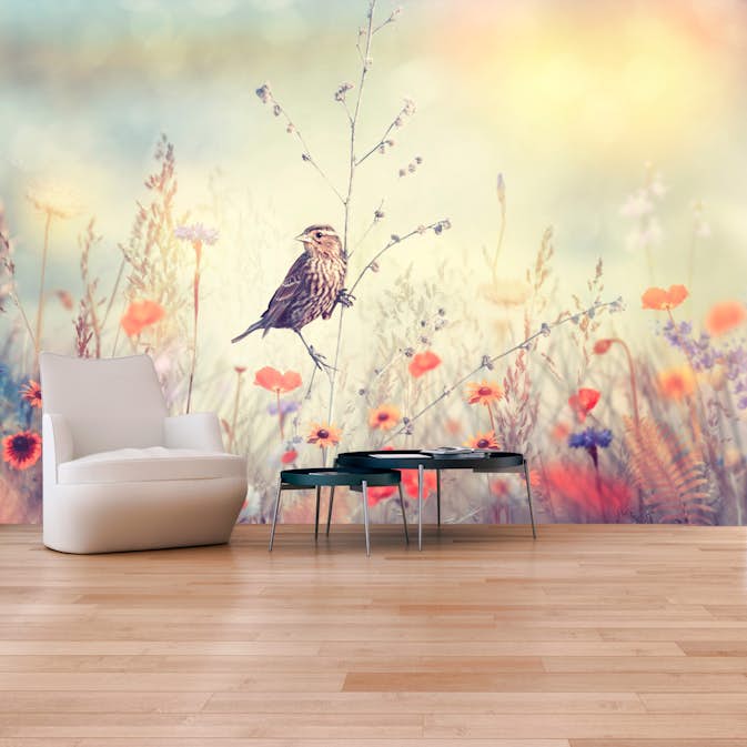 Fototapet Arkiio Självhäftande Field Bird