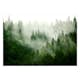 Fototapet Arkiio Mountain Forest (green)