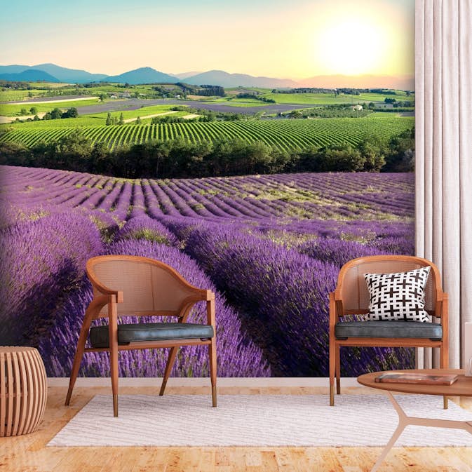 Fototapet Arkiio Lavender Field