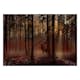 Fototapet Arkiio Mystical Forest Arkiio First Variant