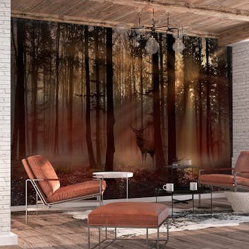 Fototapet Arkiio Mystical Forest - First Variant