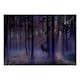 Fototapet Arkiio Mystical Forest - Second Variant