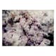 Fototapet Arkiio Home Flowerbed