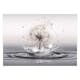 Fototapet Arkiio Wind Drops