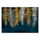 Fototapet Arkiio Gilded Feathers