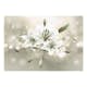 Fototapet Arkiio Lily Flower Of Masters