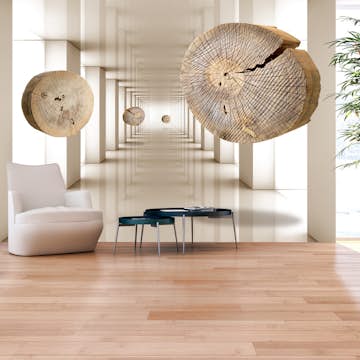 Fototapet Arkiio Flying Discs Of Wood