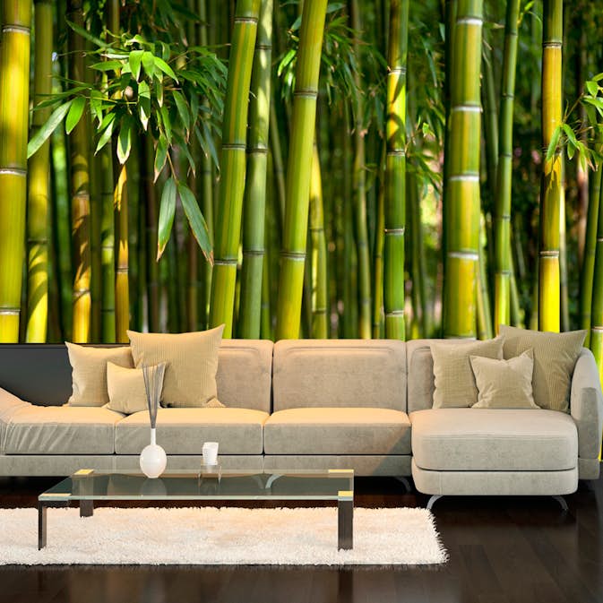 Fototapet Arkiio Oriental Garden