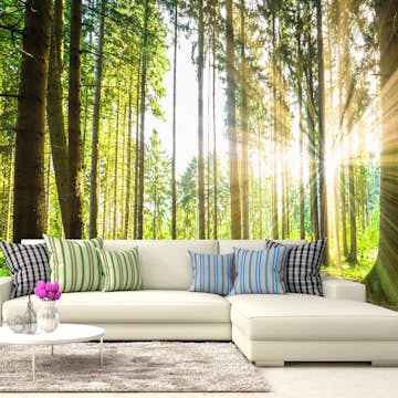 Fototapet Arkiio Forest Tales