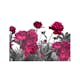 Fototapet Arkiio Lush Meadow