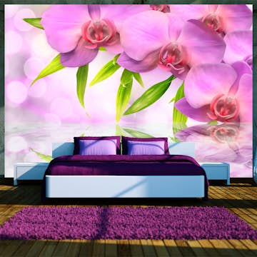 Fototapet Arkiio Orchids In Lilac Colour