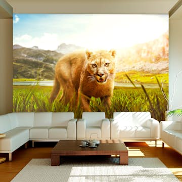 Fototapet Arkiio Watch Out!