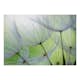Fototapet Arkiio Fleeting Moments A3-SNEW010299-A