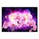Fototapet Arkiio Orchids In Flames