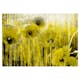 Fototapet Arkiio Yellow Madness