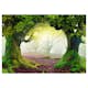 Fototapet Arkiio Enchanted Forest